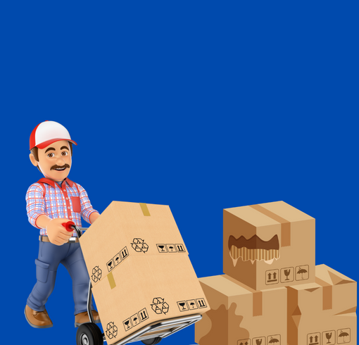 Tüm Siparişlerde Ücretsiz Kargo!